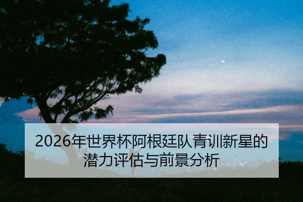 nian-shi-jie-bei-a-gen-ting-dui-qing-xun-xin-xing-de-qian-li-ping-gu-yu-qian-jing-fen-xi-2-547.jpg