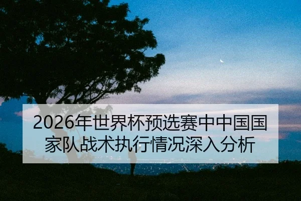 nian-shi-jie-bei-yu-xuan-sai-zhong-zhong-guo-guo-jia-dui-zhan-shu-zhi-xing-qing-kuang-shen-ru-fen-xi-2-409.jpg
